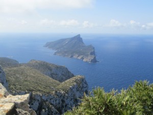 IMG_5067 (Medium)